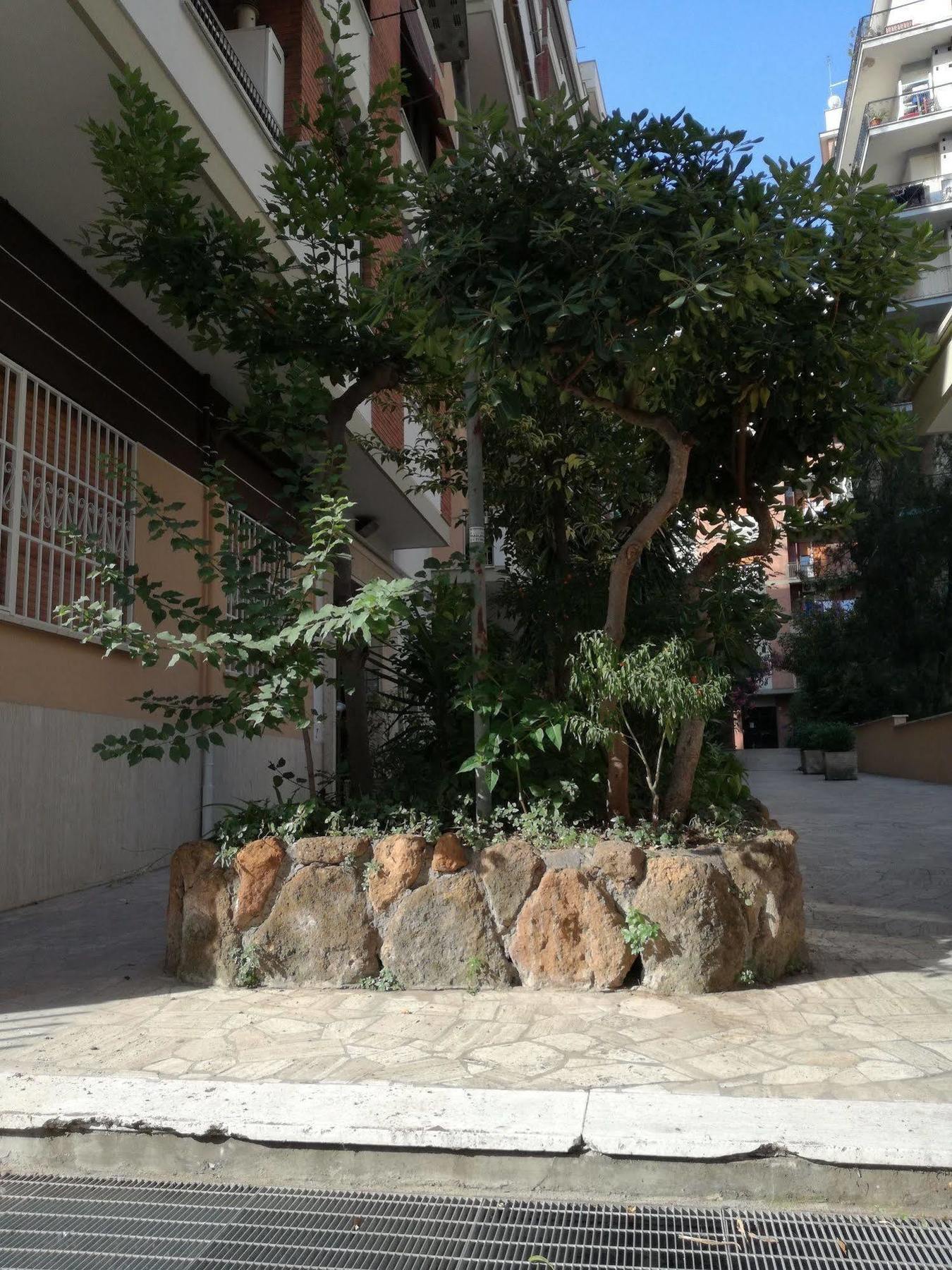 Testa Gioacchino B&B Rome Bagian luar foto