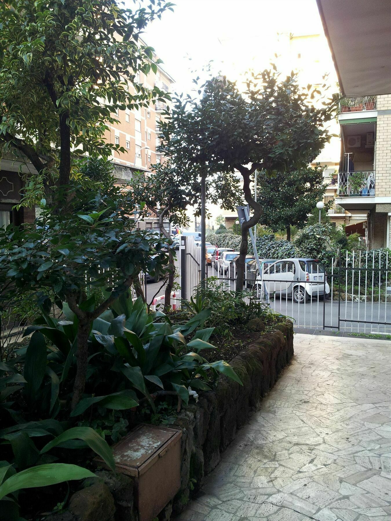Testa Gioacchino B&B Rome Bagian luar foto